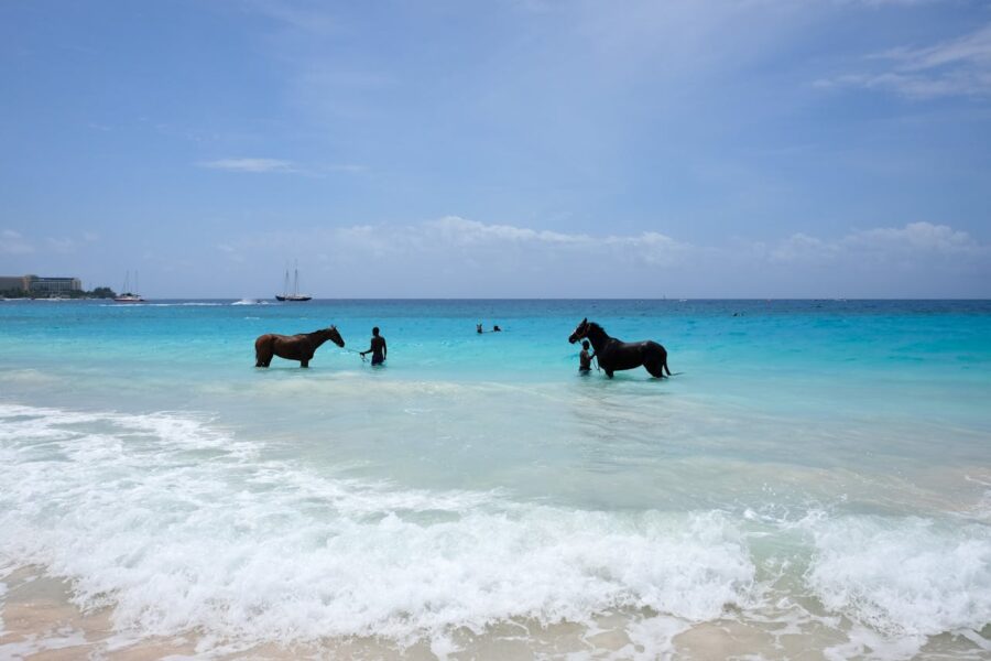 © Photo de IslandHopper X