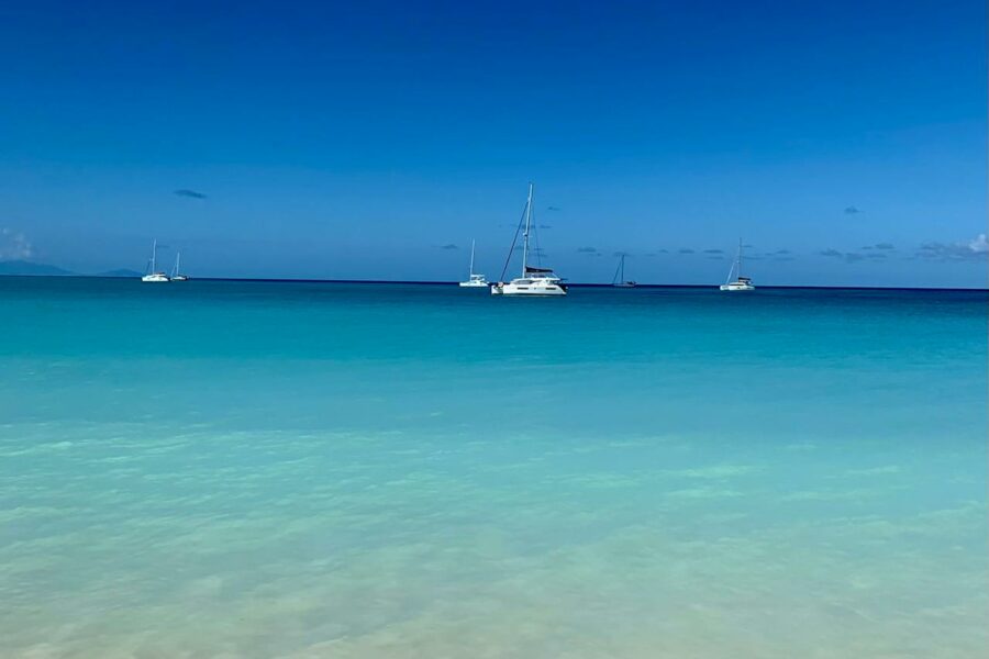 © Photo de Nik Cvetkovic